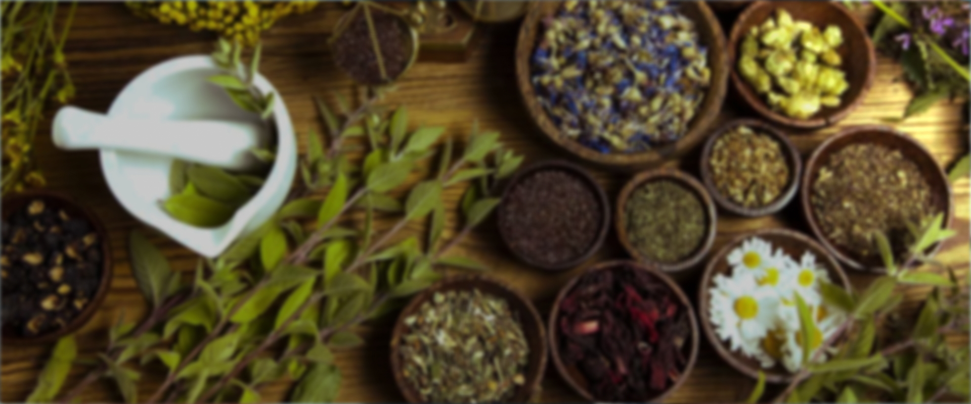 PRANA healthcare centre